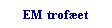 Tekstboks: EM trofet