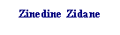 Tekstboks:    Zinedine Zidane 